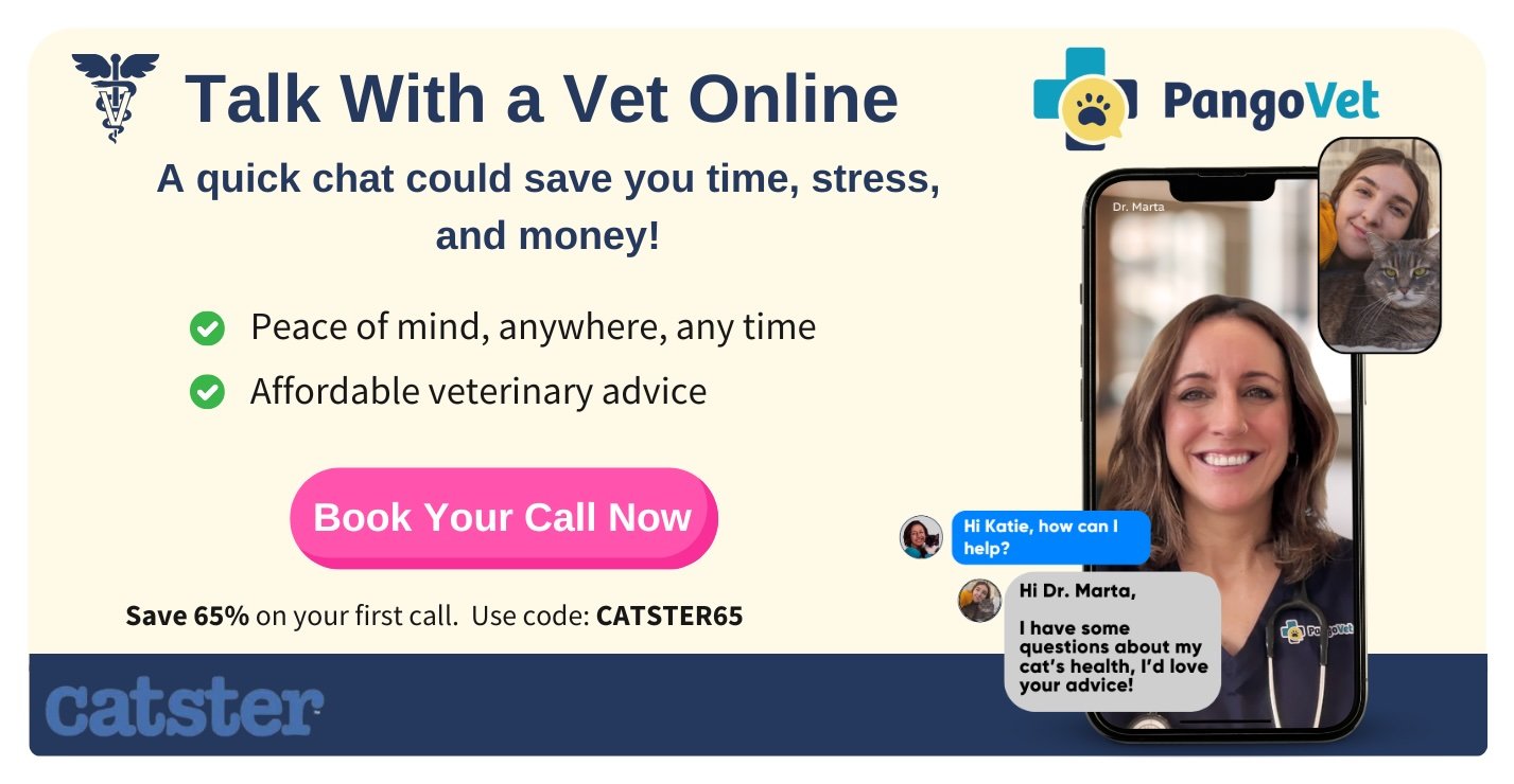 Pangovet_mention-I content for Pangovet2 SAVE MONEY