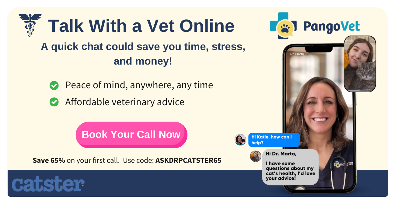 Pangovet_mention-I content for pangovet