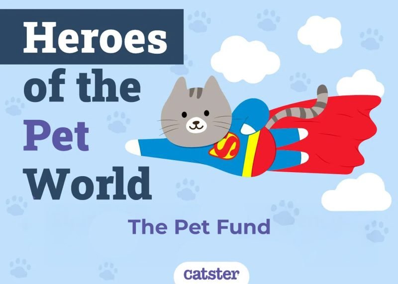Pets Fund