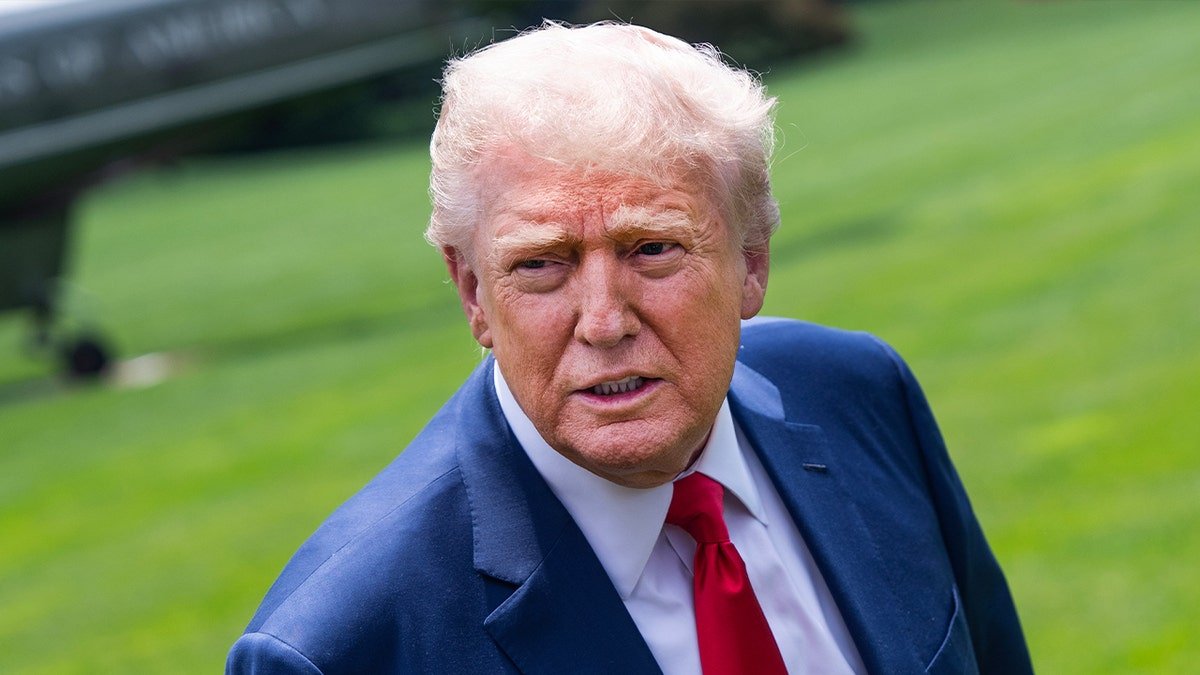 Donald Trump looks in the lawn of the white house